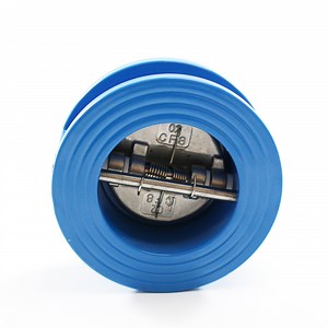[Hot Item] Nr Valve Dual Plate Double Disc Wafer Check Valve Butterfly Type Check Valve