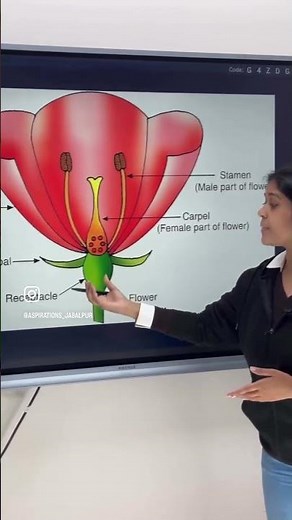 Structure of Flower in 1 Minute! 🔥 Parts with Functions | Class 10 Biology