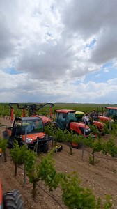 🌾🚜 ¡El campo cobra vida con Kubota! Descubre la magia en acción mientras nuestras máquinas trabajan incansablemente para hacer crecer tus sueños. ¡Potencia, rendimiento y eficiencia que transforman la agricultura! 🌱💪 | Kubota