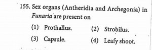 Sex organs (Antheridia and Archegonia) in Funaria are present o... | Filo