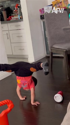 AFVofficial (@afvofficial) - Funny Moments at the Metro Concert