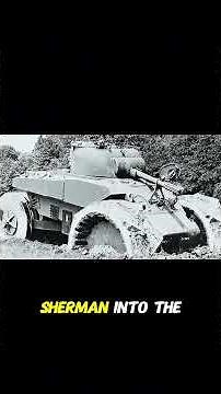 Sherman T10 Mine Exploder