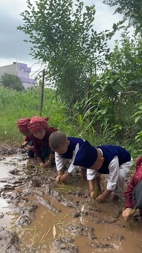 धान दिवस विशेष: विद्यार्थीहरूको सक्रिय सहभागिता