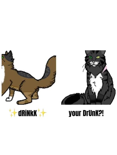 Brackenfur and Stormfur being idiot brothers