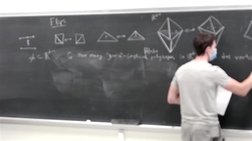 UCLA Math 206A Geometric combinatoric