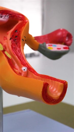 Warning Signs in Women's Hygiene Products! Go Natural for Better Health 🌿 | 5-Minute Crafts GIRLY