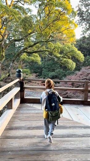 World's Greatest Tree House - IN JAPAN!