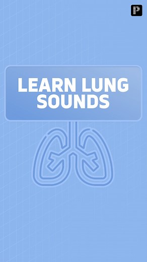 Diving into the world of lung melodies! 🎵 From wheezes to crackles, our lungs have 8 unique sounds. *Use earphones🎧 for better understanding. #lung #lungsounds #bronchial #wheezing #wheezinglungs #ronchi #crackles #frictionrub #pleuralfrictionrub #prepladder | PrepLadder Medical