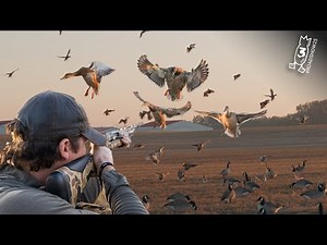 BEST FIELD DUCK & GOOSE HUNTING IN NORTH AMERICA! | #ROADSHOW25 HUNT 3