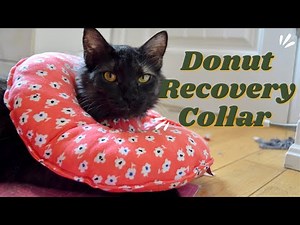 Comfy donut recovery collar/pet cone alternative tutorial!