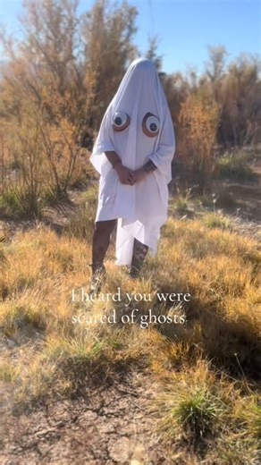 BOO 👻 #halloween #costume #ghost #scary #dressup | Kaylee Rae