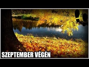 Petőfi Sándor: Szeptember végén - Gyorstalpaló