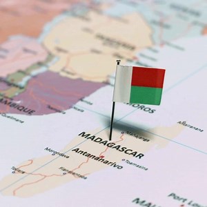 A six-year-old project to return giant tortoises to the wild in Madagascar could result in thousands of the 350kg megaherbivores re-populating the island for the first time in 600 years. Read - https://theconversation.com/madagascar-giant-tortoises-have-returned-600-years-after-they-were-wiped-out-221615 💻Grant Joseph, University of Cape Town #Conservation #EnvironmentAndEnergy #Madagascar #Aldabragiant #gianttortoises #reintroduction | The Conversation Africa