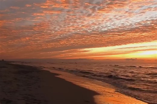 Impilo Yami lyric video. Visualiser Coming Soon Stay tuned #fyp