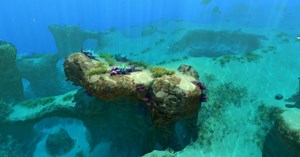 Subnautica-Cheats: Diese Konsolenbefehle gibt es und so nutzt Du sie