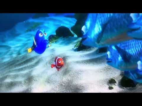 Dory is crying 😢 #youtubeshorts #nemo
