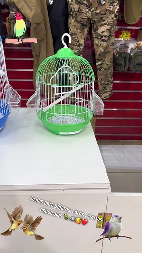 Jaulas para pajaros , Loros , ofertas especiales precios Unicos 😍💰👏🤑. Vistanos en nuestra tienda MIMI MASCOTAS ubicados en Estacion Central calle Bascuñán Guerrero 426#mascotafeliz😍🐕‍🦺 #viralvideosofficial❤️❤️🤩 #viral #estacioncentral #animalsoftiktok #pajarostiktok #pajaroslindos