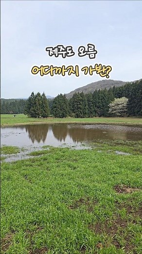 ▶️ 들판이 너무 아름다운 오름 #jejuisland #바리메오름 #제주들판 #제주도들판 #제주포토스팟