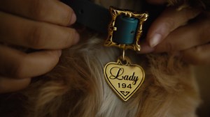 3.5M views · 10K reactions | It's a bella notte for Lady and the Tramp. Stream the retelling of a timeless classic only on Disney+. | Disney+ | Facebook