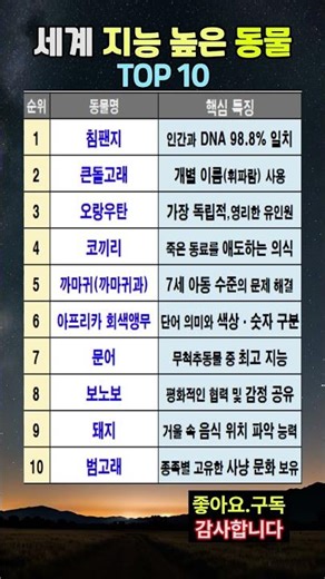 세계에서 가장 지능 높은 동물 TOP10