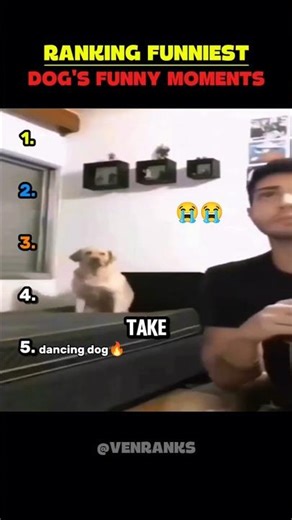 TOP 5 DOGS THAT ARE ACTUALLY BROKEN 😂