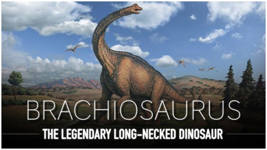 Brachiosaurus; One Of The LARGEST Animals to Ever Exist