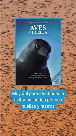 📖Recomendaciones de lecturas pajareras