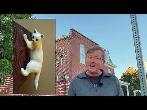 Five Minute Histories: Camark Cats
