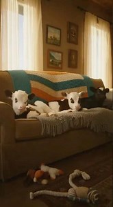 Man Falls in Love with One-of-a-Kind Calf #heartwarming #animals #bond