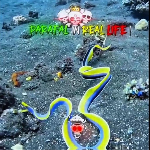 PARAFAL IN GAME AND REAL LIFE 🔥