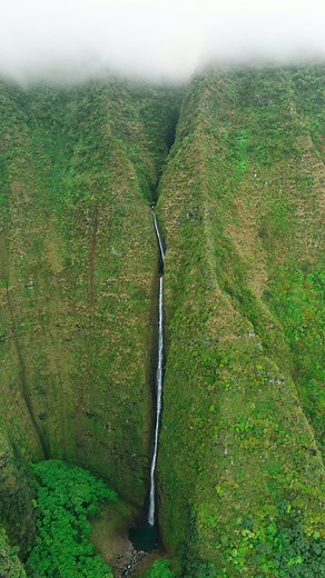 Explore the wild on Instagram: "🌄 Essential Safety Tips for Every Hike 🌄 Hiking is freedom — but the mountain always demands respect. Before you step on the trail, prepare with discipline and strategy: 🔹 Research the trail • Know the distance, elevation gain, and difficulty. • Check weather conditions and daylight hours. • Always tell someone your route and return time. 🔹 Carry the Ten Essentials 1. Navigation (map, compass, GPS, downloaded offline app). 2. Sun protection (sunglasses, hat, s