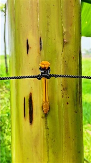 This Rope Knot Will Surprise You ✅🙏 #shorts #lifehacks #viral