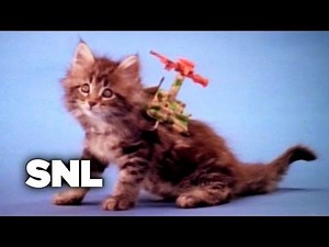 Action Cats - Saturday Night Live