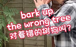 我想问，为啥不是at，而是up？呵呵呵呵～