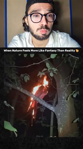 Toheed Mehrani on Instagram: "When nature feels unreal 💀👀🫵🏻 6 What is genetic engineering? Genetic engineering, also known as genetic modification, is the direct, artificial manipulation of an organism’s DNA to alter its characteristics, such as adding, deleting, or changing specific genes. By using laboratory techniques like recombinant DNA technology, scientists can move genes within or across species to produce desired traits in medicine, agriculture, and research. Key Aspects of Genetic 