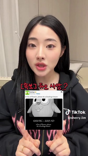 듀오링고 부엉이 디오의 죽음과 그 여파