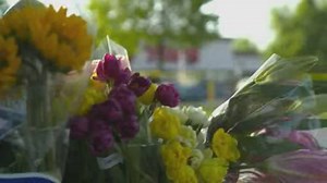 Global News at 6 Toronto: May 15