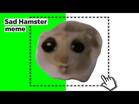 Sad Hamster x Cotton Eye Joe