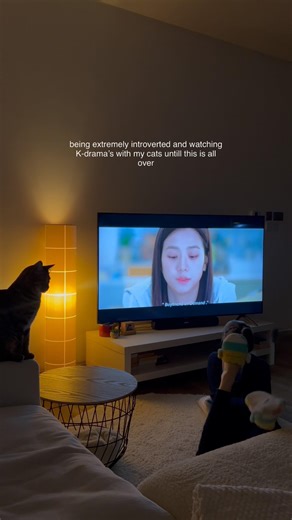 Do not Disturb 🤭 #kdramafyp #kdrama #boyfriendondemand #korean #catmum