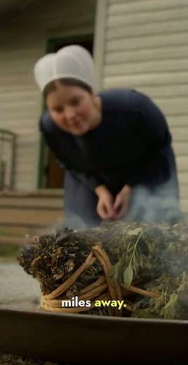 The Amish Trick That Keeps Mosquitoes Away Without Chemicals