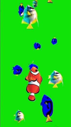 fish swimming effect green screen background|swimming fish animation green screen|fish