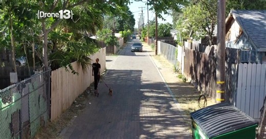 North Sacramento alley makeover aims to turn blight into beauty