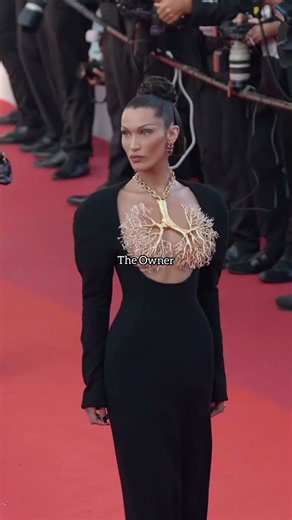 The Dress Vs The Owner