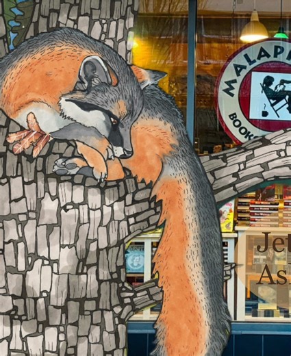 A fox wandered out of the mountains and found a home at Malaprop’s Books If you’re in Asheville, stop by and bring his story home. #Malaprops #AshevilleNC #IndieBookstore #ChildrensBook #BookTok