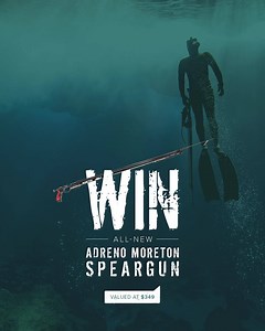 🎉 Introducing the ALL-NEW Adreno Speargun Range! 🎉 Designed in Australia by our team of spearos, and built in South Africa for quality assurance, the Adreno Moreton and Adreno Eden are ready to join your arsenal now. To celebrate the launch, we're giving you the chance to WIN the Adreno Moreton! We'll announce the prize winner right here on 14th November. Gotta be in it to win it 👉🏼 bit.ly/win-adreno-moreton | Adreno Spearfishing