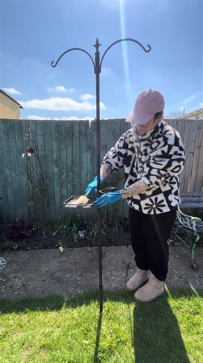 Clean Your Bird Feeder: RSPB Safe Feeding Advice