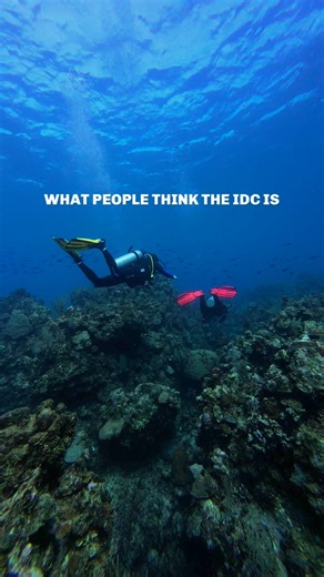 4.9K views · 55 reactions | The PADI Instructor Development Course, or IDC, is well underway here at Roatan Divers! So far, our candidates have learned teaching best practices, PADI Standards, and solidified their demostration skills in the classroom and underwater. Want to join our next IDC? Head to roatandivers.com/padi-idc-roatan to learn mroe and schedule a call with Course Director Fernanda Paiva. #divingroatan #padiidc #padiinstructor | Roatan Divers | Facebook