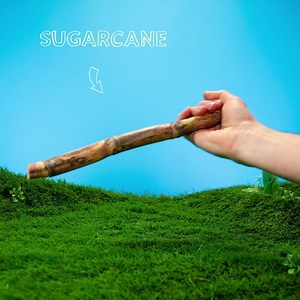 New Arrival: Shop CARIUMA’s bamboo, water-repellent high tops just in time for Winter. | CARIUMA