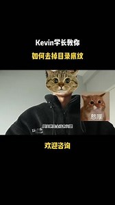 目录底纹红色怎么去