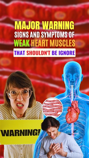 Major Warning Signs and Symptoms of Weak Heart Muscles That Shouldn't Be Ignore ❌🫀🫀 Weak heart muscles, a condition known as cardiomyopathy, can lead to heart failure if left untreated. It's essential to recognize the warning signs and symptoms to seek timely medical intervention. Here are some common signs and symptoms of weak heart muscles. #healthapta #warningsigns #symptoms #HeartHealth #cardiomyopathy #muscleweakness #heartdisease #heartattack #heartfailure #reelsvideo #likeforfollow | He